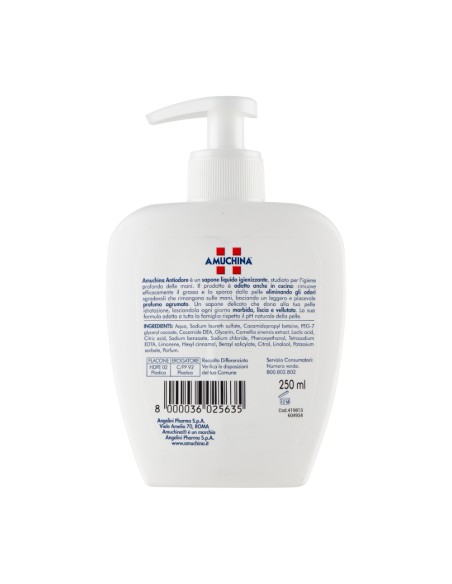 offerta Amuchina Antiodore Sapone Liquido Mani Igienizzante Fragranza Agrumata 250 ml