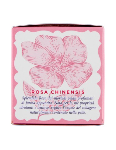 offerta Acqua alle Rose Crema Viso Idratante Lenitiva Pelli Sensibili 50 ml