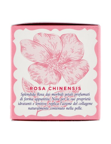 offerta Acqua alle Rose Crema Viso Antirughe Lenitiva per Pelli Sensibili 50 ml