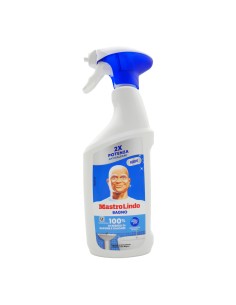 Pulizia Bagno