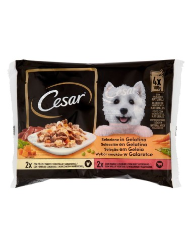 offerta Cesar Le Delizie del Giorno Cibo Umido Cani Selezione in Gelatina Pollo e Manzo 4x100 g