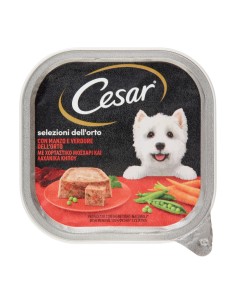 offerte CESAR