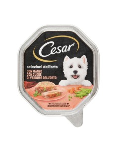 offerte CESAR