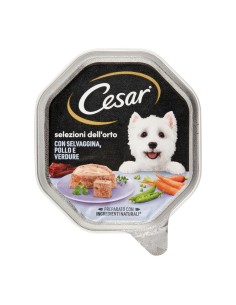 offerte CESAR