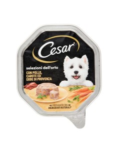 offerte CESAR