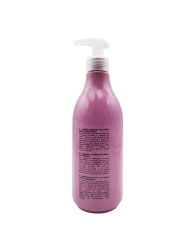 offerta Dikson Lisci Perfetti Shampoo Lisciante per Capelli Lisci e Indisciplinati 500 ml