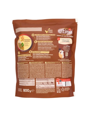 offerta Ultima Crocchette per Cane Jack Russell Terrier Nutrizione Adatta con Pollo 800 g