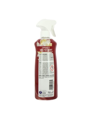 offerta Coccolatevi Essenza Detergente Spray Fragranza Marsiglia e Felce Bianca 750 ml