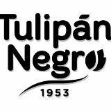 TULIPAN NEGRO