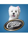 CESAR