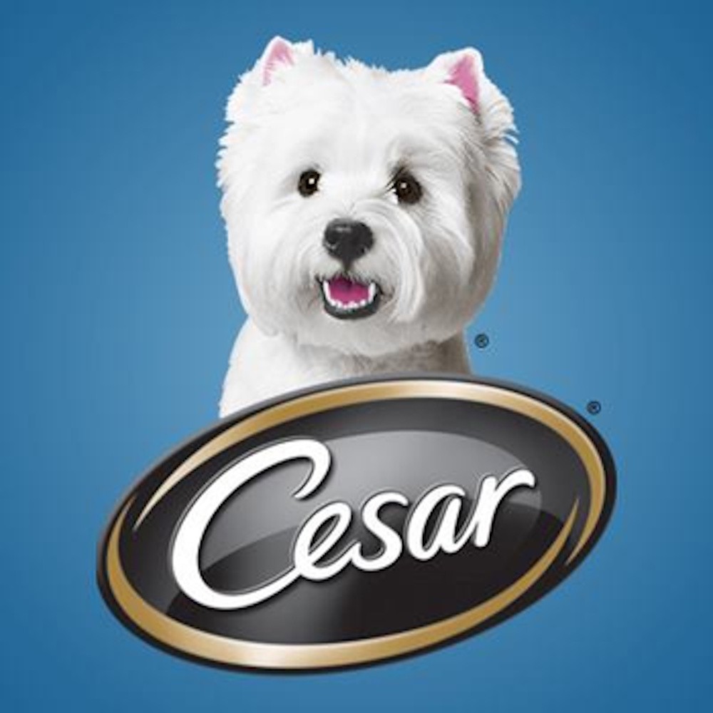 CESAR
