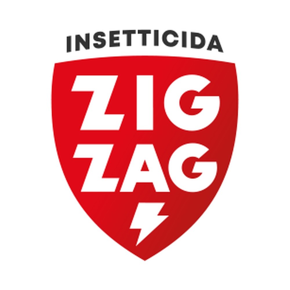 ZIG ZAG